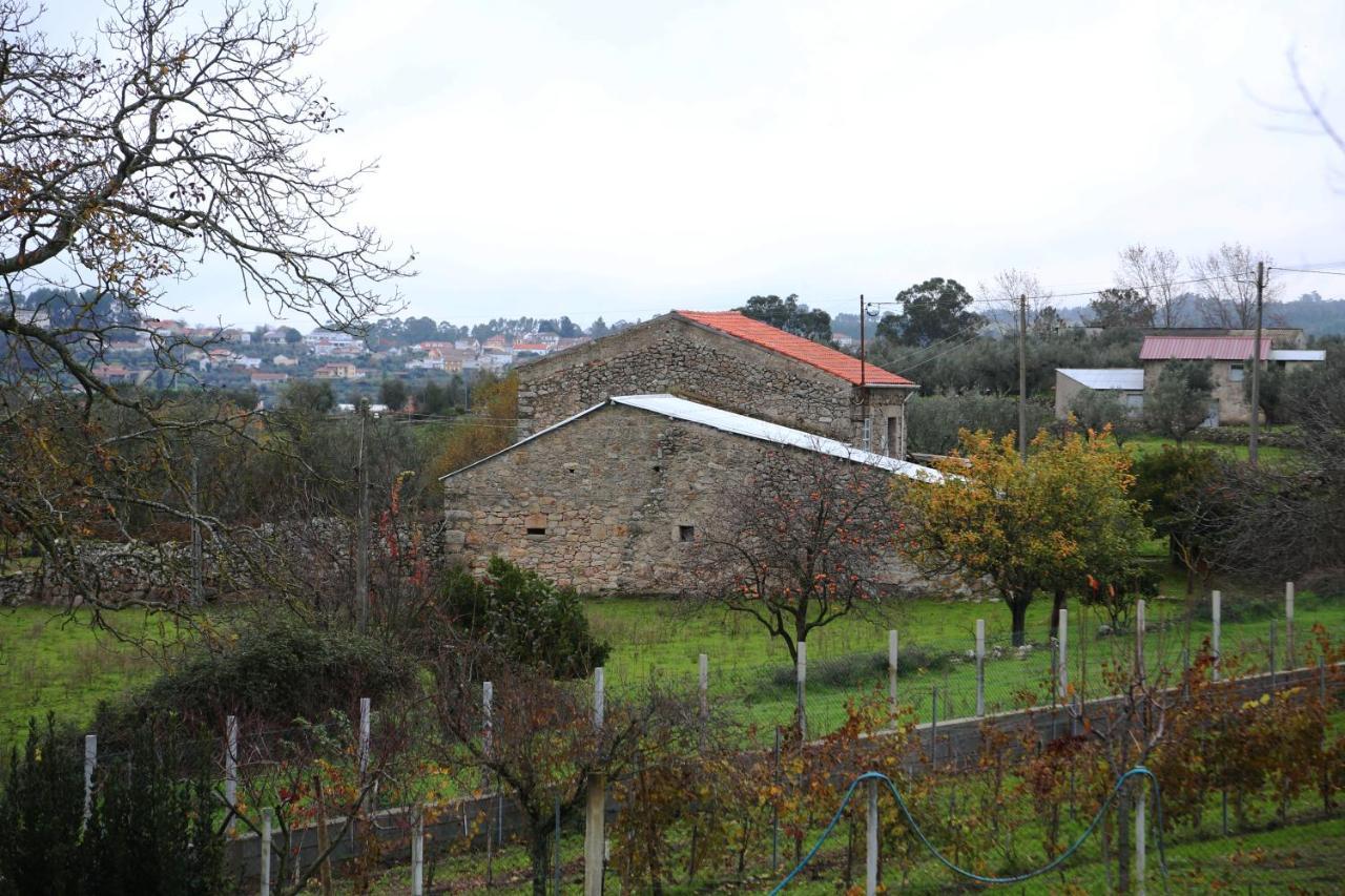 סייה Casa D'Avo Serra Da Estrela מראה חיצוני תמונה