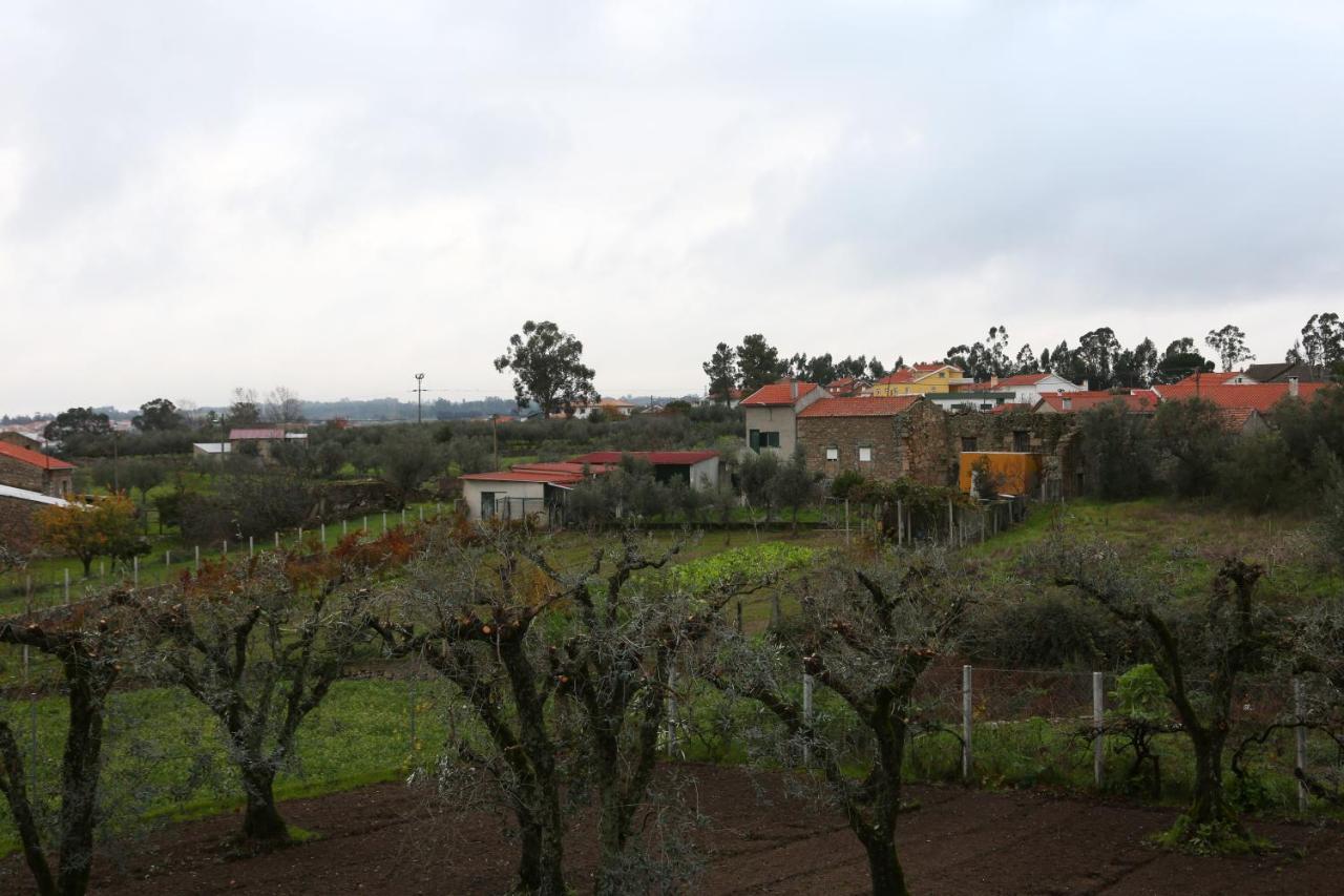 סייה Casa D'Avo Serra Da Estrela מראה חיצוני תמונה